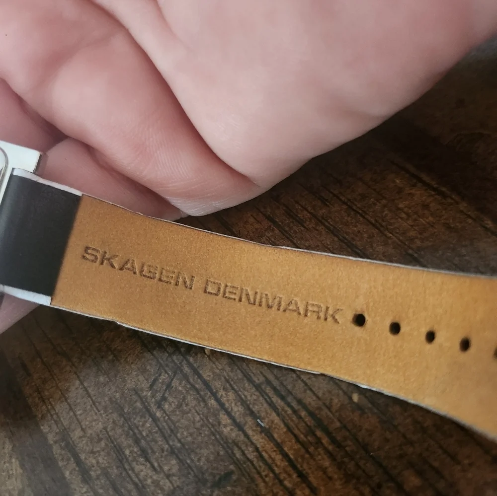 Skagen denmark watch